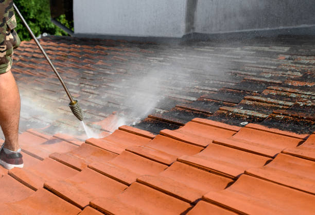 Pressure Washing Contractors in Niles, IL